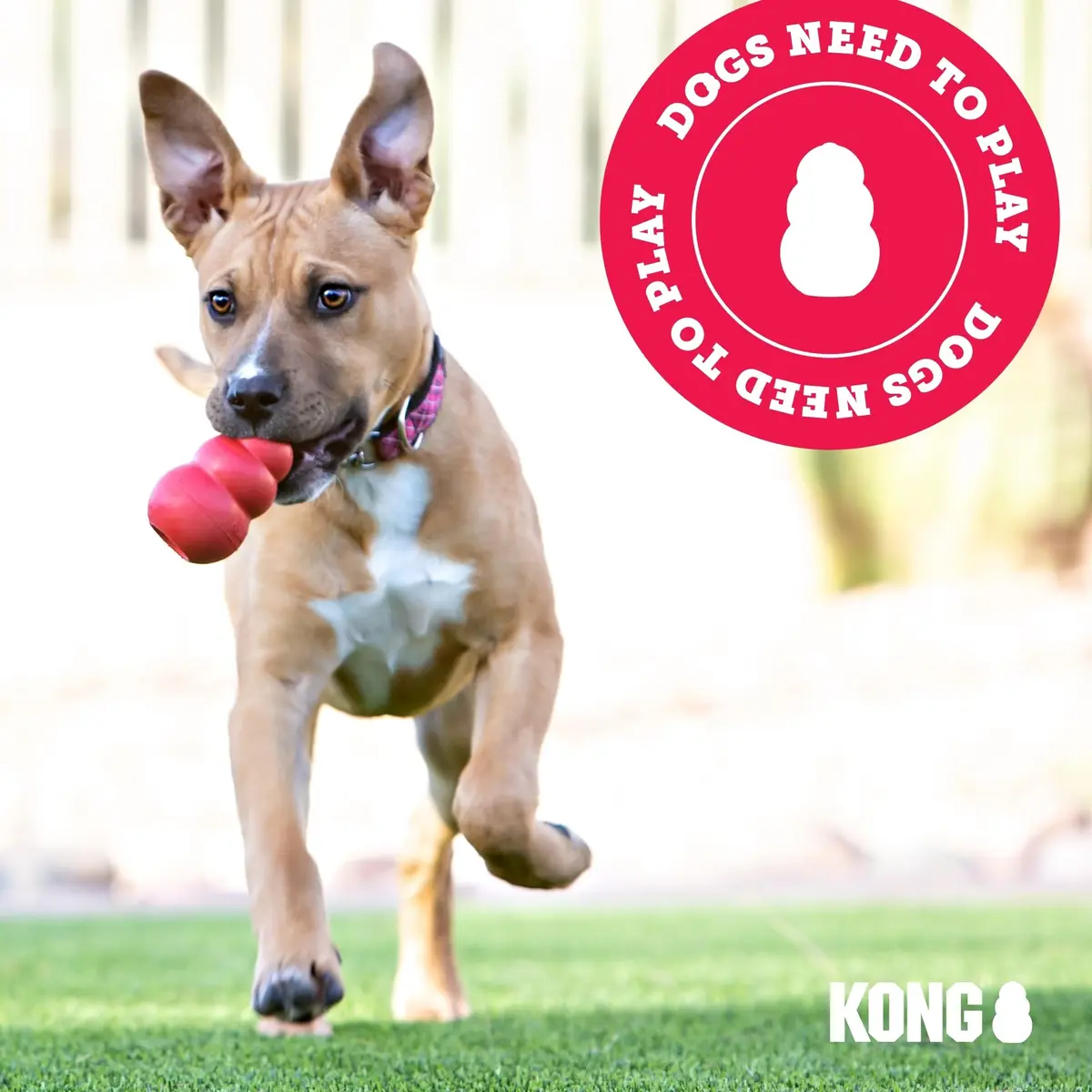 KONG Squeakair Balls Dog Toy Premium Squeak Tennis Balls Gentle on Teeth for Medium Dogs (3 Pack, Yellow) - view 7