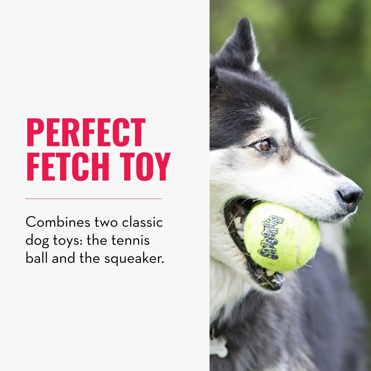 KONG Squeakair Balls Dog Toy Premium Squeak Tennis Balls Gentle on Teeth for Medium Dogs (3 Pack, Yellow) - view 3