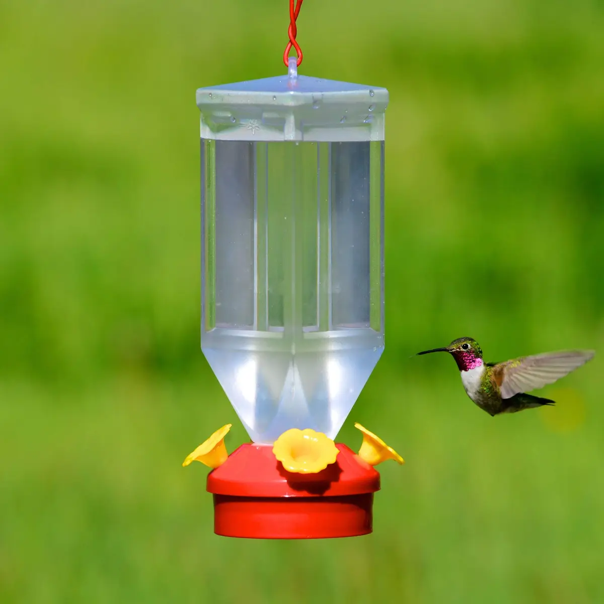 Perky-Pet 201 Lantern Hummingbird Feeder 532ml (18 oz) Red | Attracts Multiple Birds - view 3