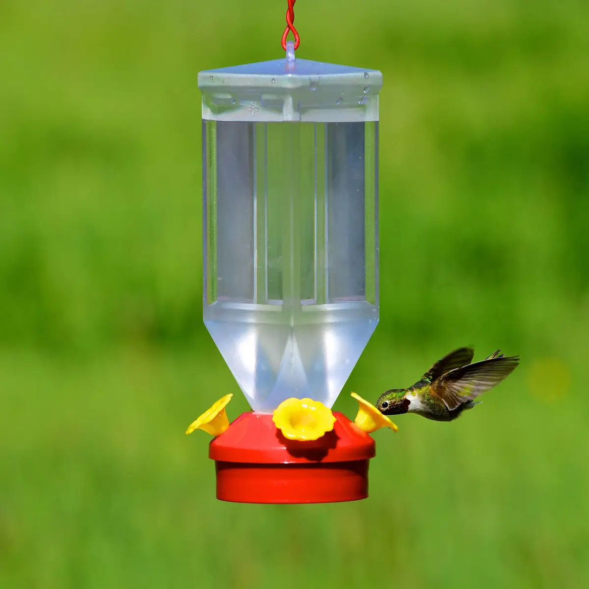 Perky-Pet 201 Lantern Hummingbird Feeder 532ml (18 oz) Red | Attracts Multiple Birds - view 4