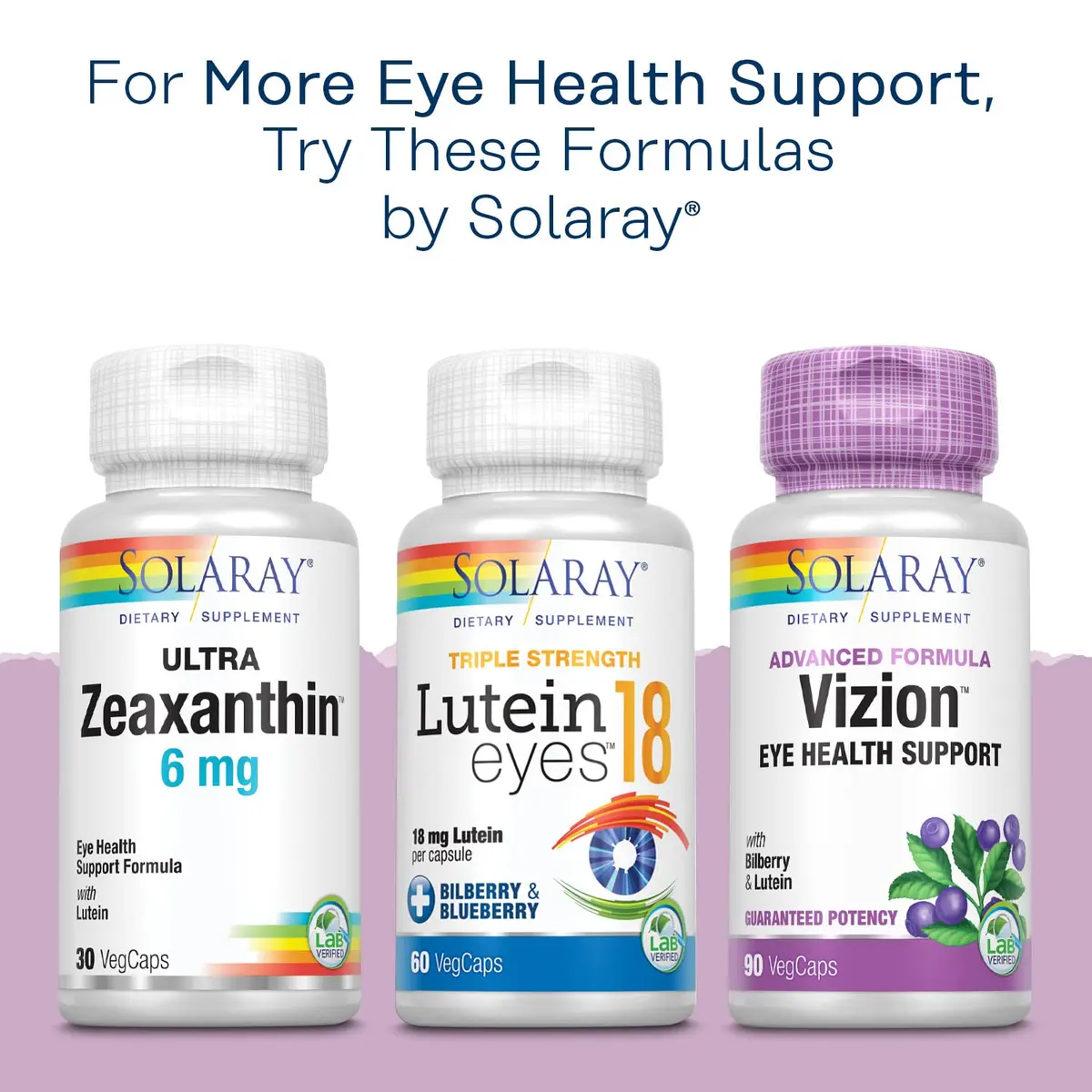 SOLARAY Bilberry Berry Extract 60 mg | Vision & Circulatory Support, Vegan, 120 VegCaps - view 6