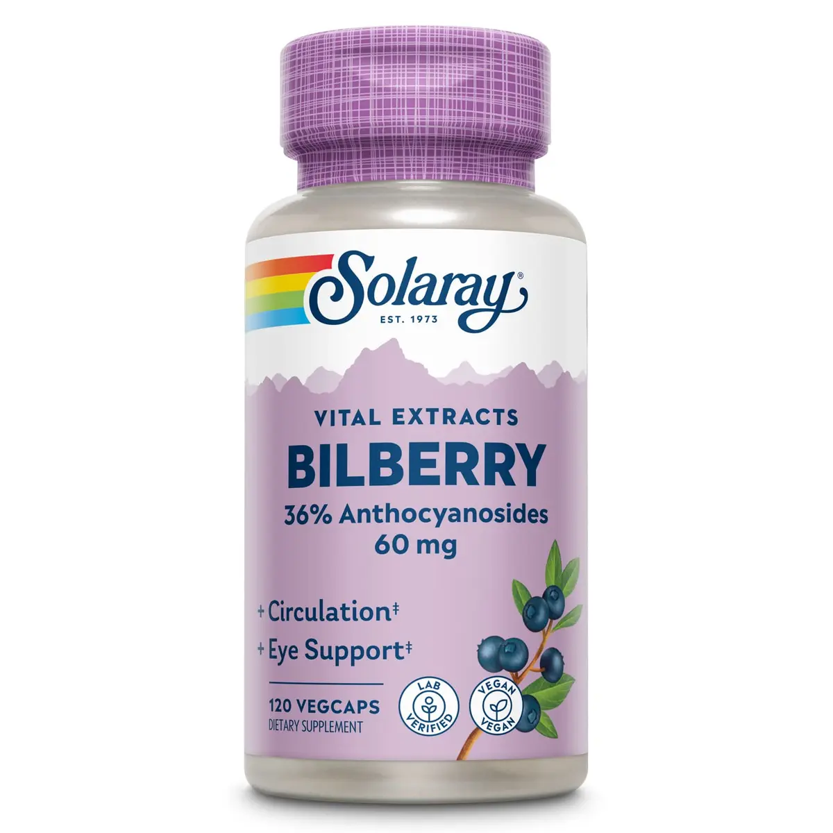 SOLARAY Bilberry Berry Extract 60 mg | Vision & Circulatory Support, Vegan, 120 VegCaps - main product image