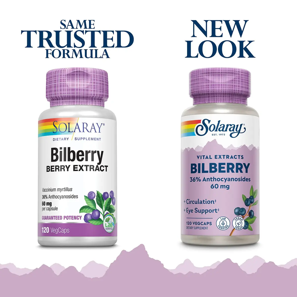 SOLARAY Bilberry Berry Extract 60 mg | Vision & Circulatory Support, Vegan, 120 VegCaps - view 2