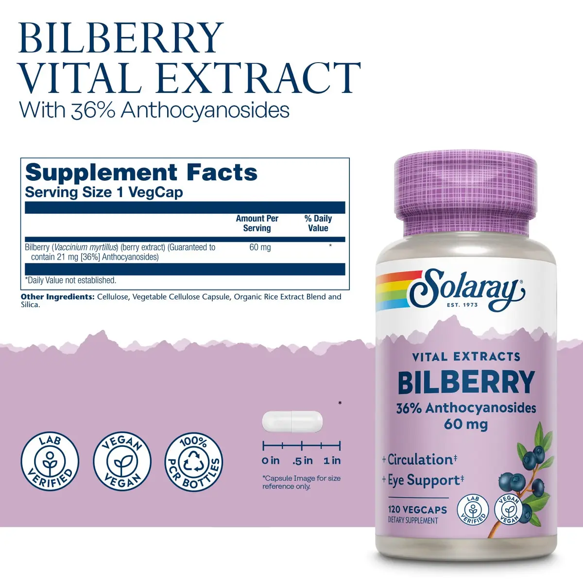 SOLARAY Bilberry Berry Extract 60 mg | Vision & Circulatory Support, Vegan, 120 VegCaps - view 3