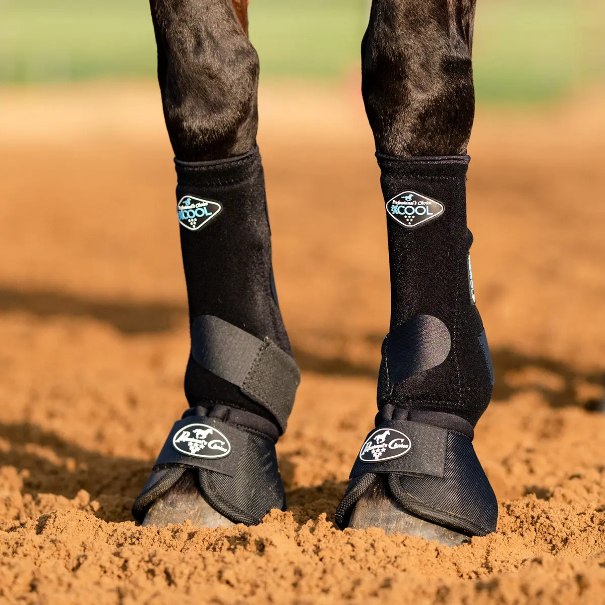 Professional's Choice Ballistic Overreach Bell Boots for Horses | Superb Protection & Comfort | Quick Wrap Hook & Loop | Sold in Pairs | Small Black - view 6