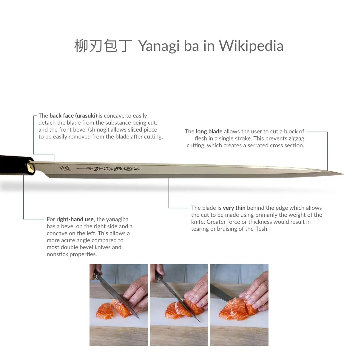 Sekiryu Stainless Steel Sushi Sashimi Knife | 21cm Razor Sharp Blade for Precise Fish Slicing - view 7