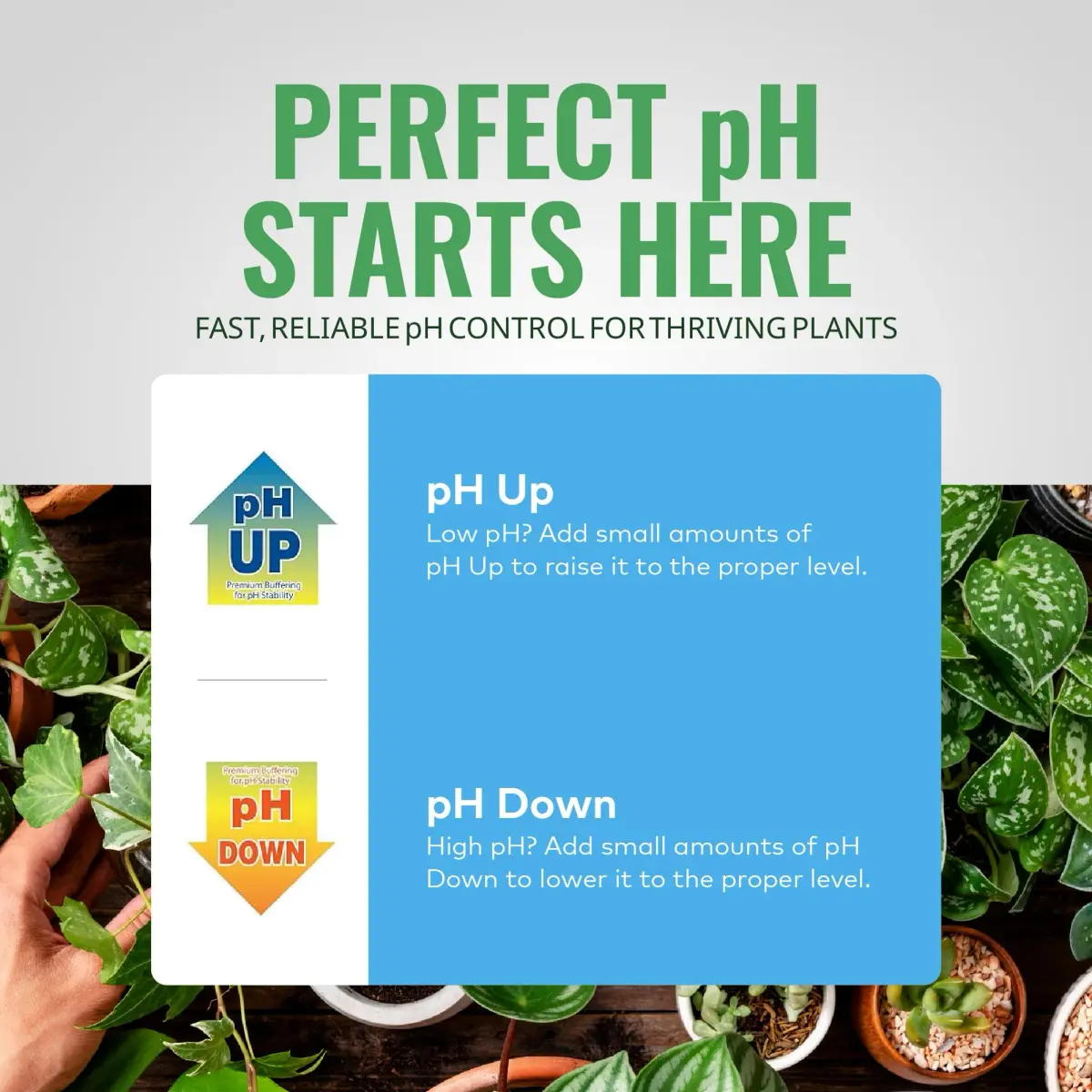 General Hydroponics pH Control Kit with pH Up, Down, Indicator & Chart | 8 oz pH Up, 8 oz pH Down, 1 oz Indicator - view 4