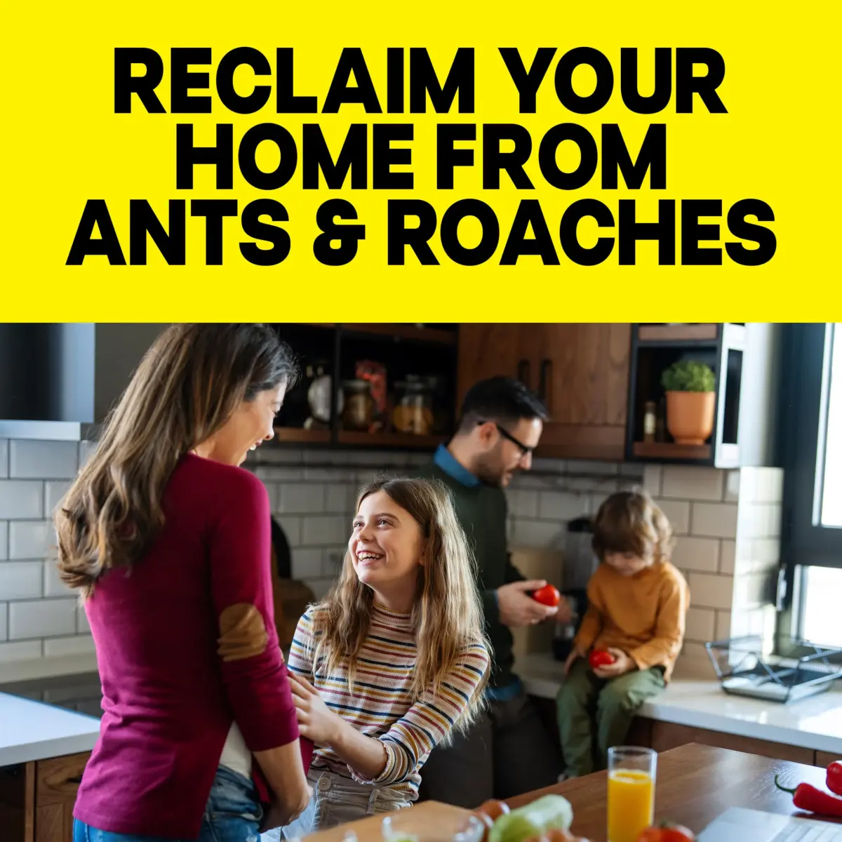 Raid Ant & Roach Killer Fragrance Free 17.5oz (496ml) | Kills Bugs on Contact - view 4