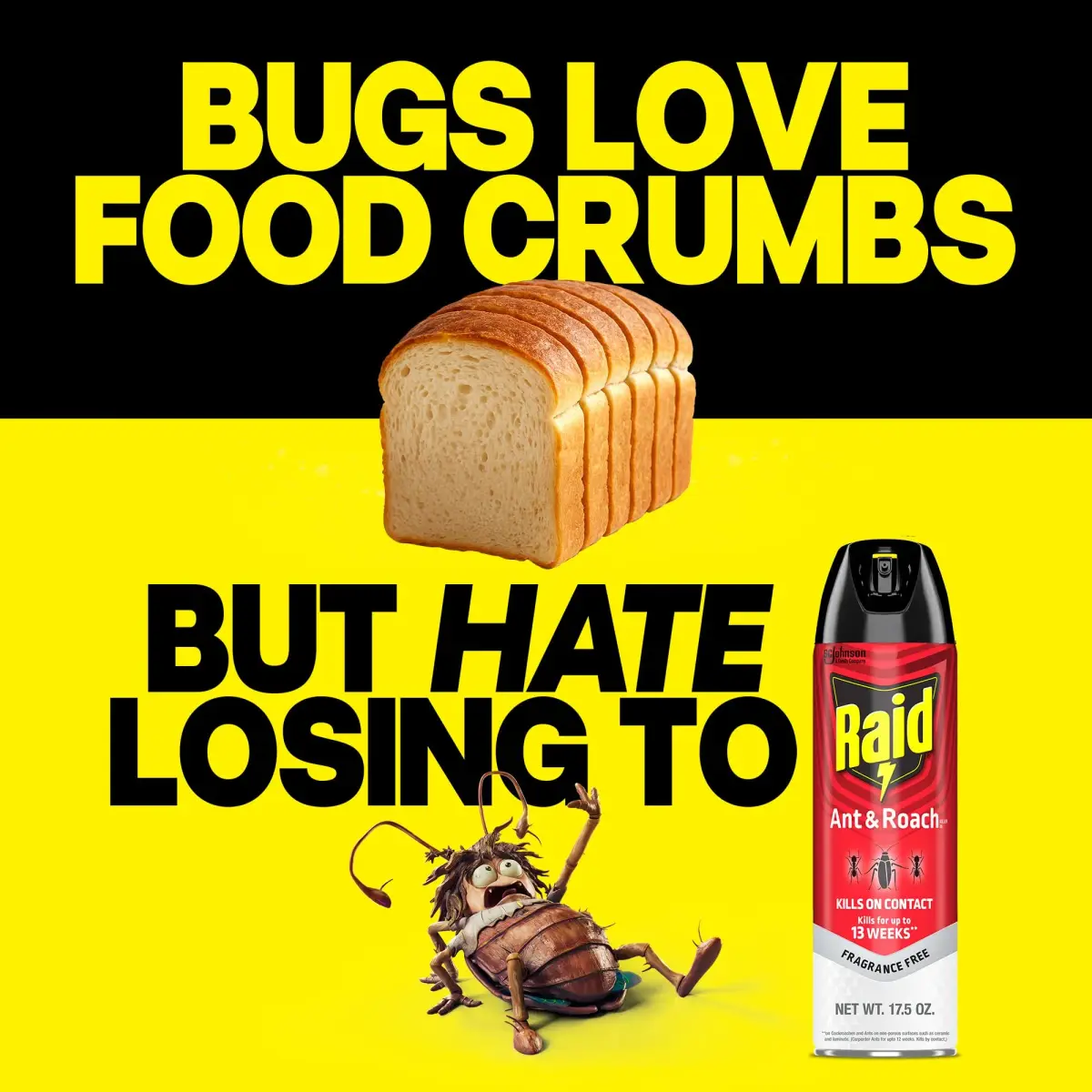 Raid Ant & Roach Killer Fragrance Free 17.5oz (496ml) | Kills Bugs on Contact - view 5