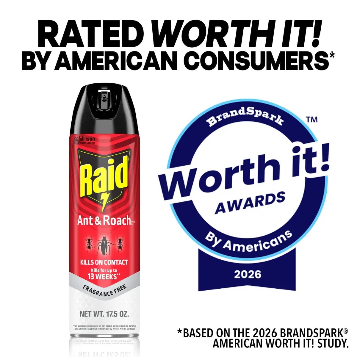 Raid Ant & Roach Killer Fragrance Free 17.5oz (496ml) | Kills Bugs on Contact - view 8