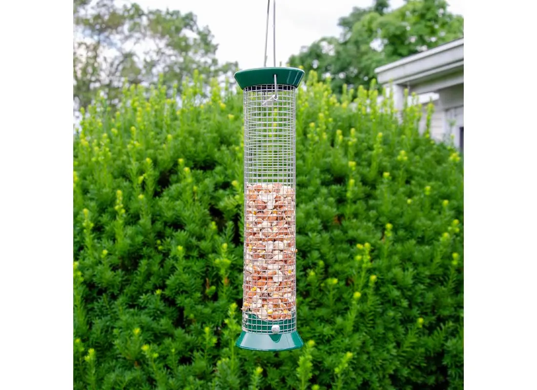 Lyric Woodpecker Wild Bird Seed Mix 2.27 kg (5 lb) | No-Waste Fruit & Nut Blend for All Wild Birds - view 7
