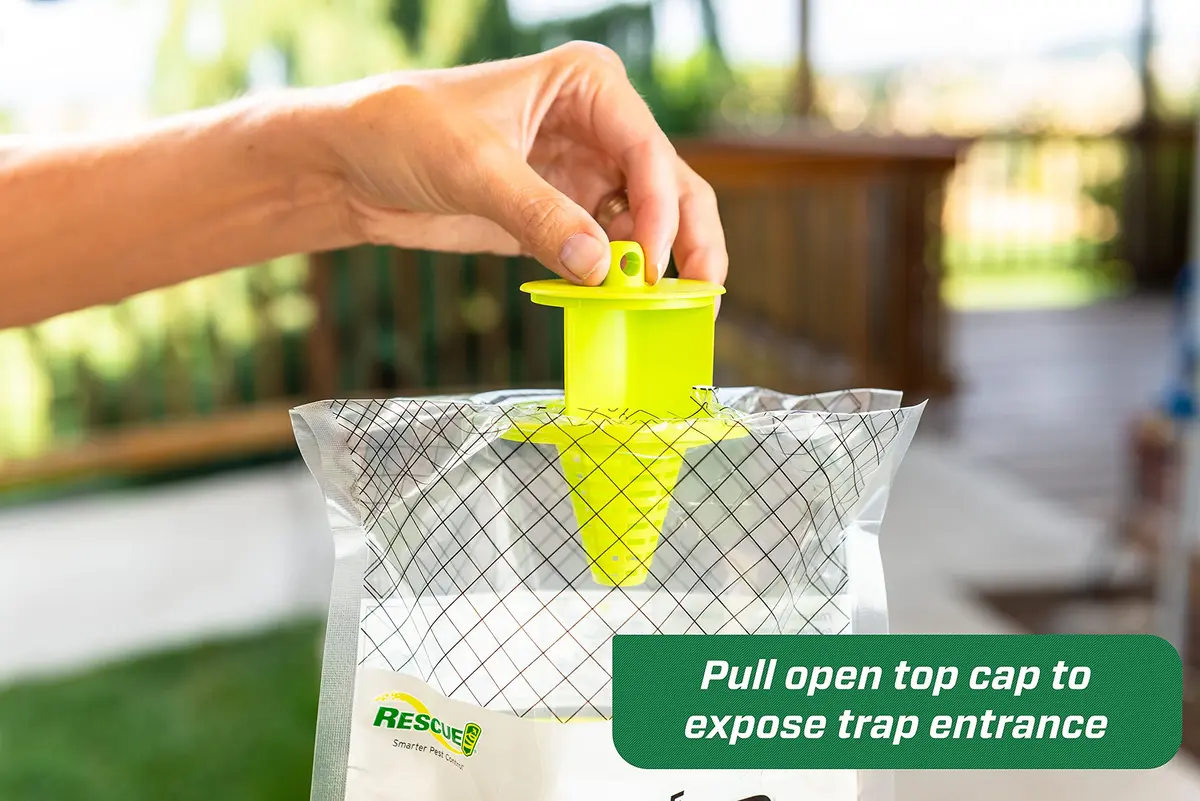 RESCUE! Big Bag Disposable Fly Trap 1 Pack | Catches 40,000 Flies Outdoors - view 3