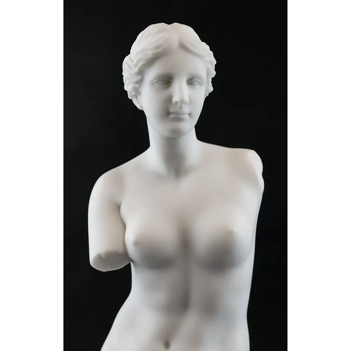Top Collection Venus de Milo Replica Statue from The Louvre. 11-Inch Premium Cold Cast Marble. Museum-Grade Masterpiece Replica. - view 5