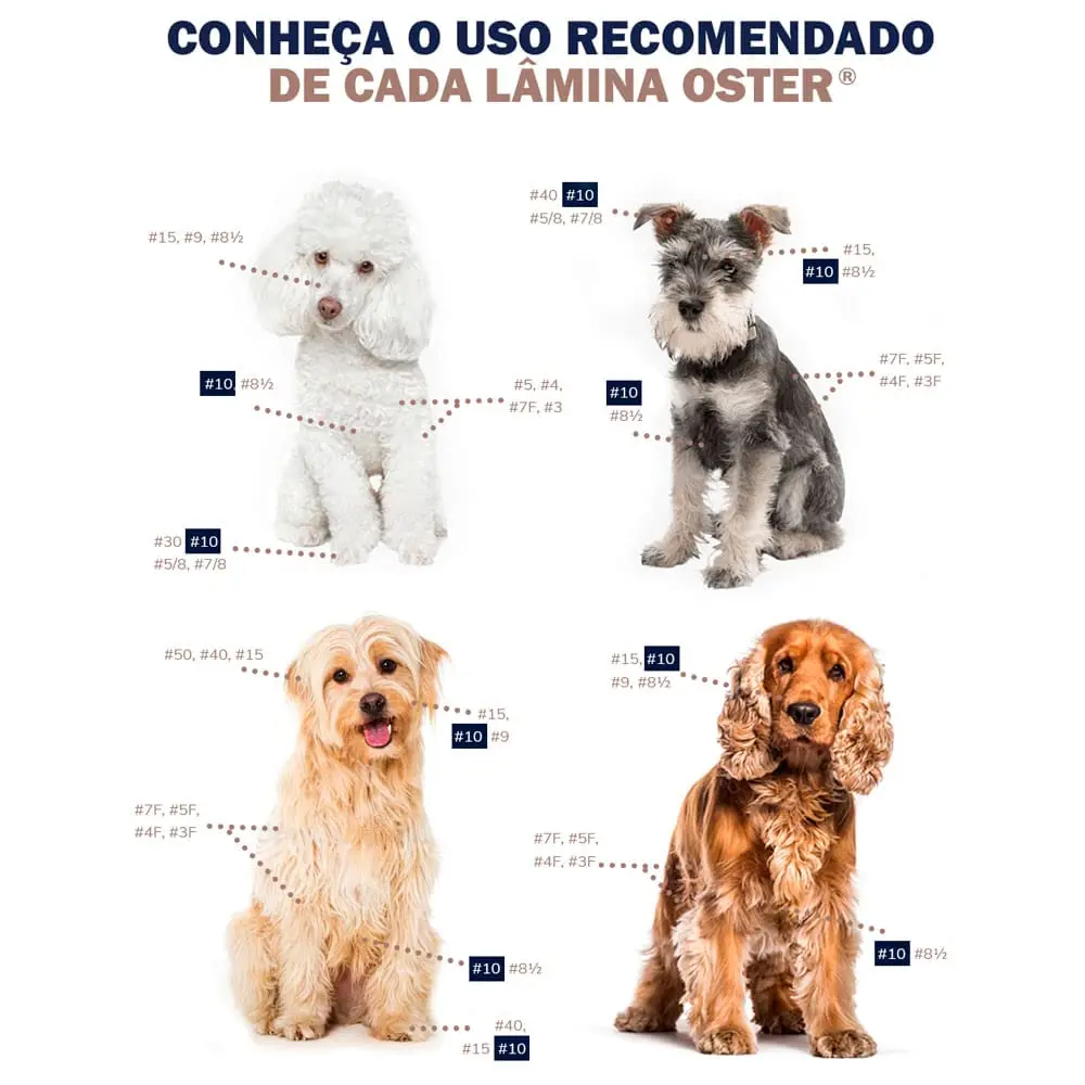 Oster Professional Size 10 Cryogen-X Detachable Blade for Dogs | 1.5mm (1/16") Cut - view 2