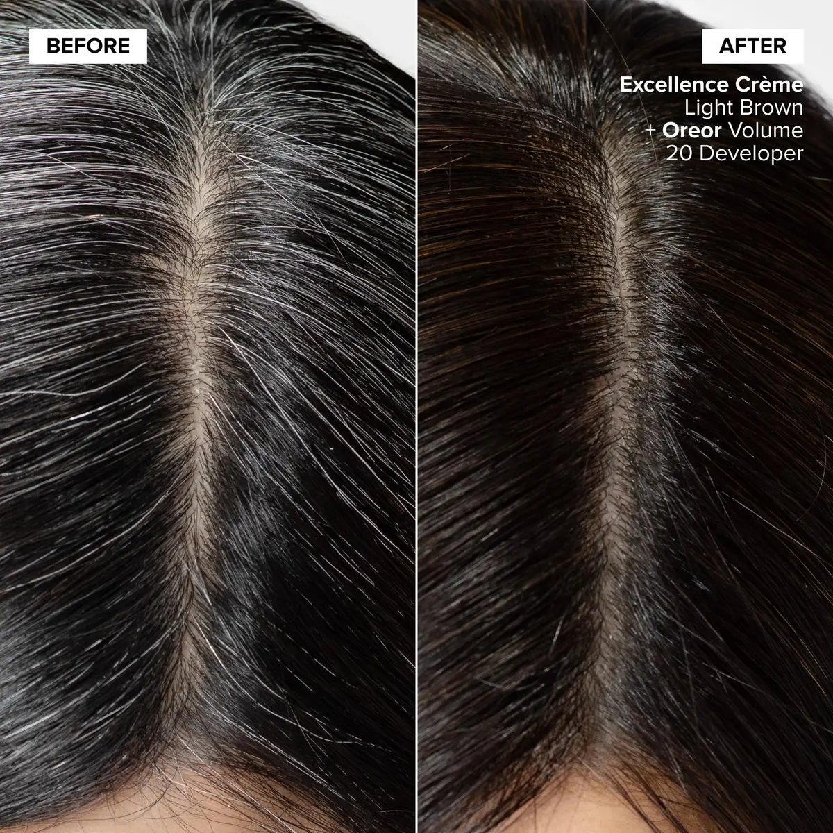 L'Oréal Technique Excellence Crème Permanent Hair Color – Medium Ash Blonde 51.6ml (1.74 Fl Oz) | Superb Gray Coverage - view 2