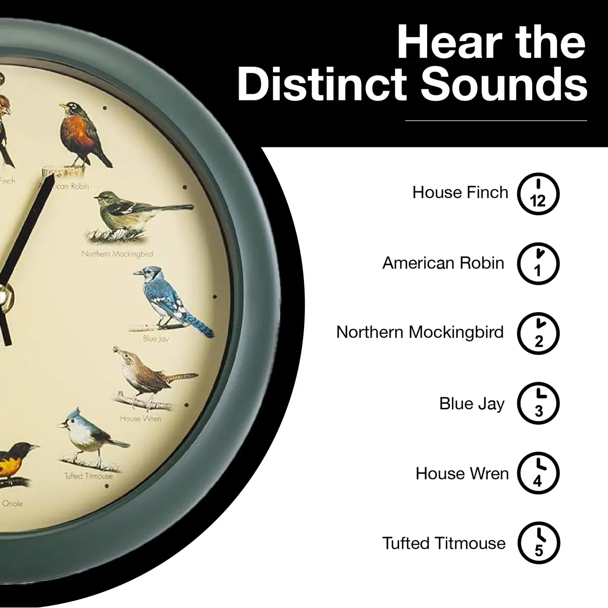 Mark Feldstein & Associates Green Singing Bird Clock 8 inch (20.3 cm) | 12 Real Bird Songs Hourly, Silent After Dark - view 5