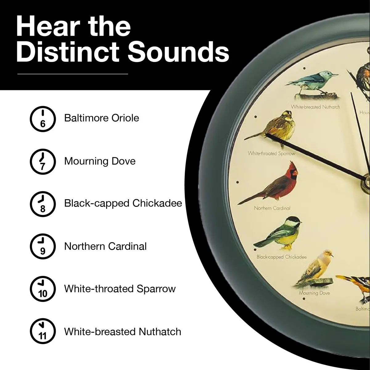 Mark Feldstein & Associates Green Singing Bird Clock 8 inch (20.3 cm) | 12 Real Bird Songs Hourly, Silent After Dark - view 6