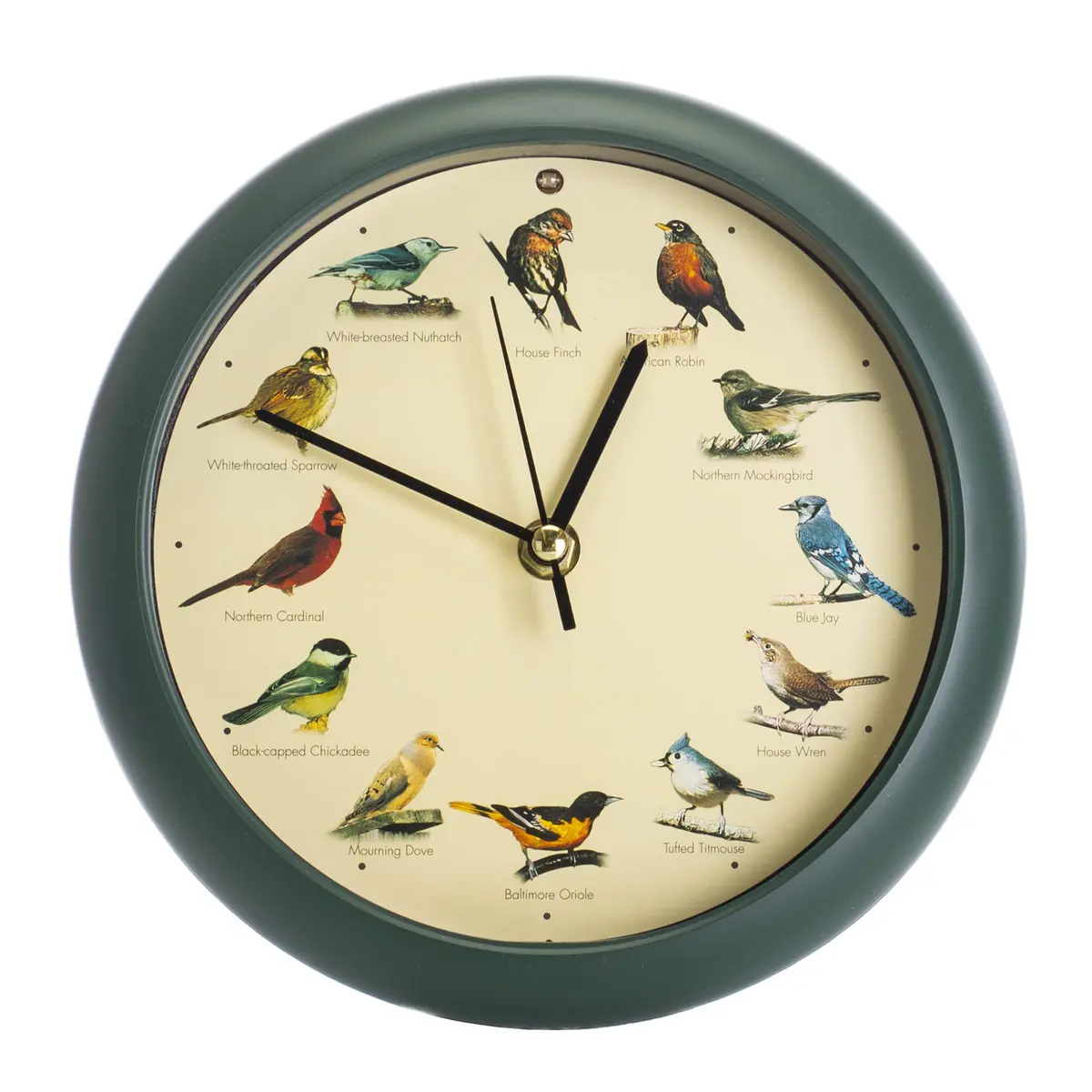 Mark Feldstein & Associates Green Singing Bird Clock 8 inch (20.3 cm) | 12 Real Bird Songs Hourly, Silent After Dark - view 4