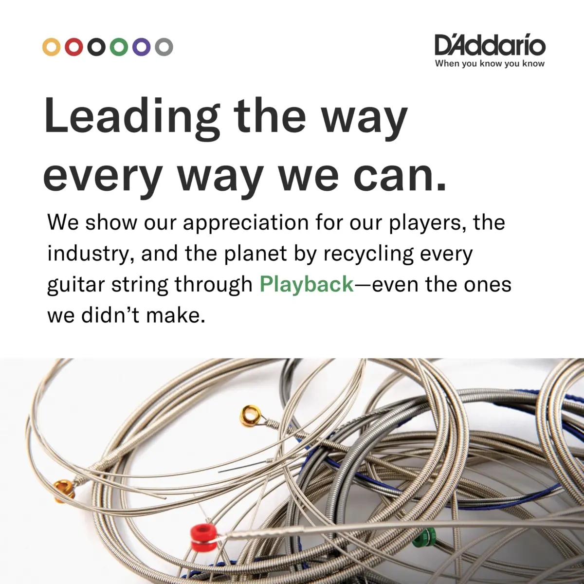 D'Addario EJ16 Phosphor Bronze Acoustic Guitar Strings, Light 12-53 Set | Warm Balanced Tone - view 6
