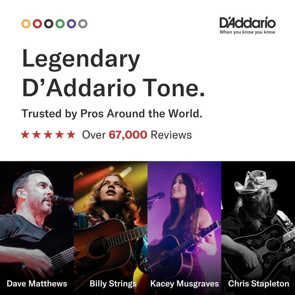 D'Addario EJ16 Phosphor Bronze Acoustic Guitar Strings, Light 12-53 Set | Warm Balanced Tone - view 2