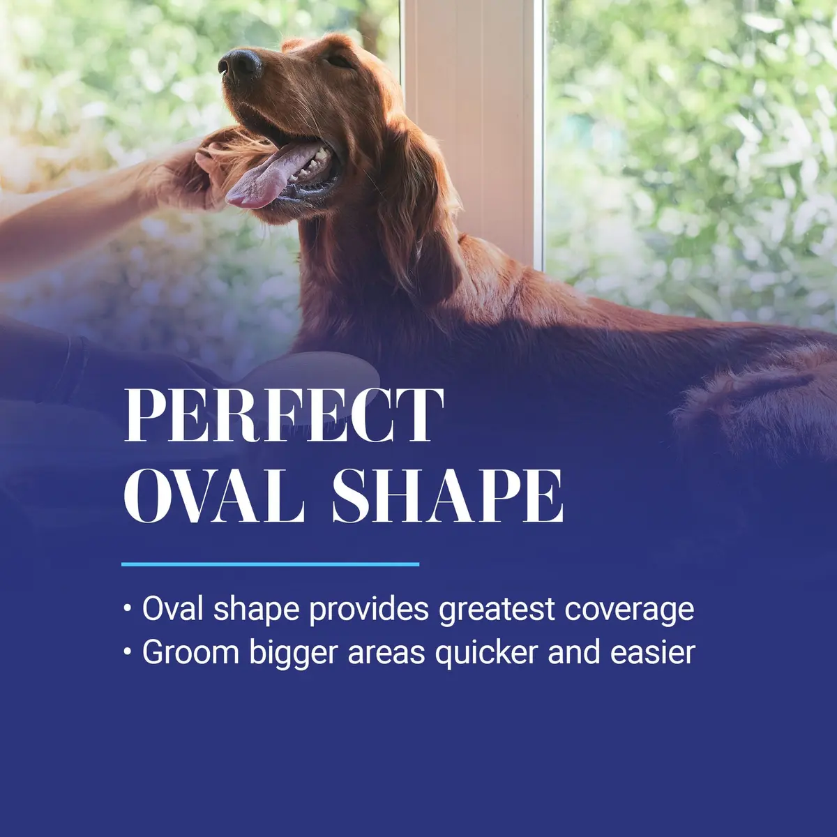 Chris Christensen Dog Brush 27mm Oval Pin | Professional Grooming Tool for Sensitive Dogs - view 6