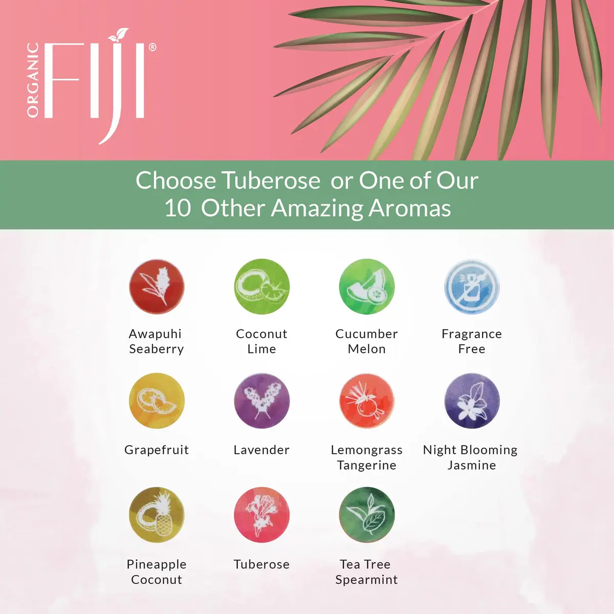 Organic Fiji Coco Fiji Face & Body Lotion 12 oz | Deep Moisturizer with Coconut Oil for Sensitive Skin - view 7