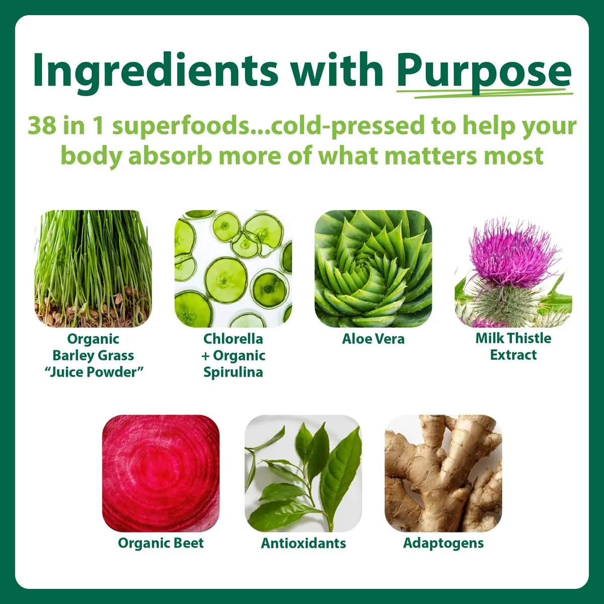 MacroLife Naturals Macro Greens Superfood Powder, 30 Servings (10oz) | Organic, Vegan, Antioxidant Support - view 2