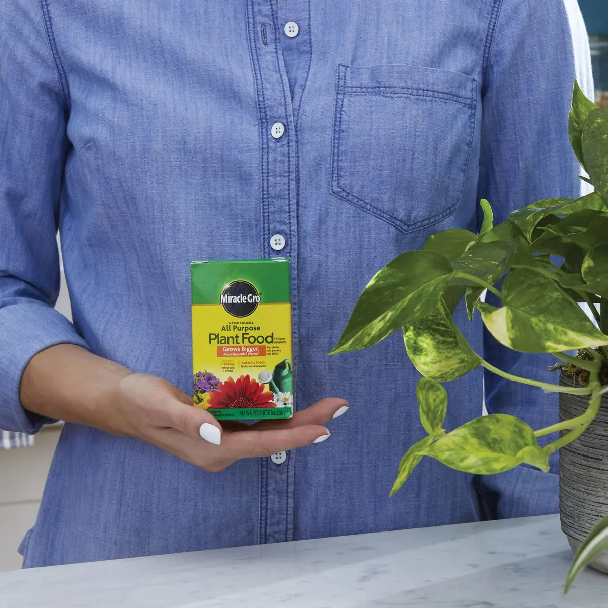 Miracle-Gro Water Soluble All Purpose Plant Food 255g (8 oz) | Feeds Plants Instantly for Bigger Growth - view 3