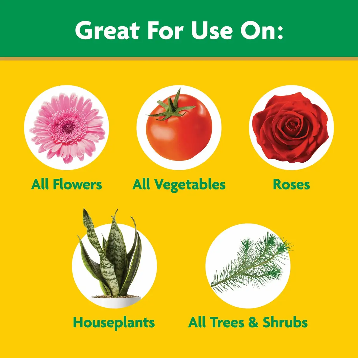 Miracle-Gro Water Soluble All Purpose Plant Food 255g (8 oz) | Feeds Plants Instantly for Bigger Growth - view 4
