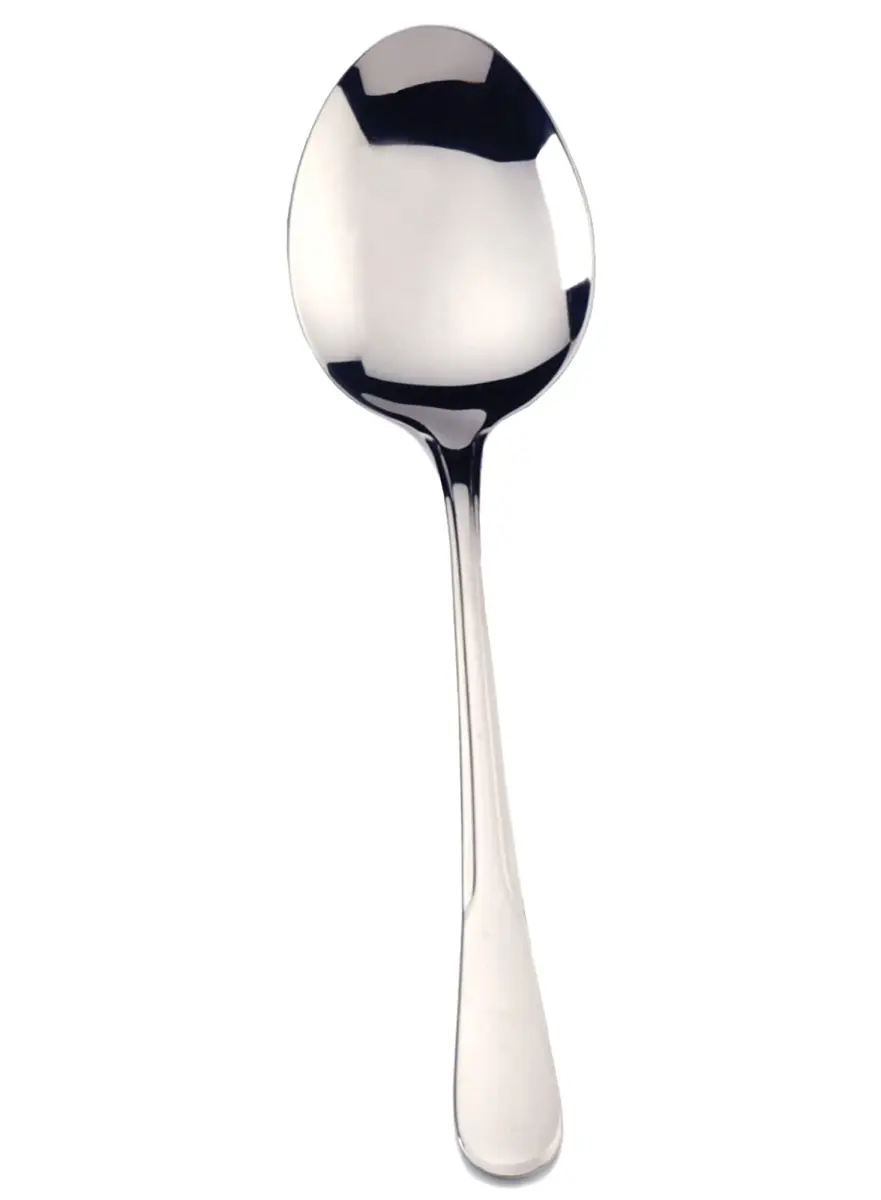 RSVP International Endurance Serving Spoon 21.89 cm (9 inches) | Polished Stainless Steel for Serving & Blending - main product image