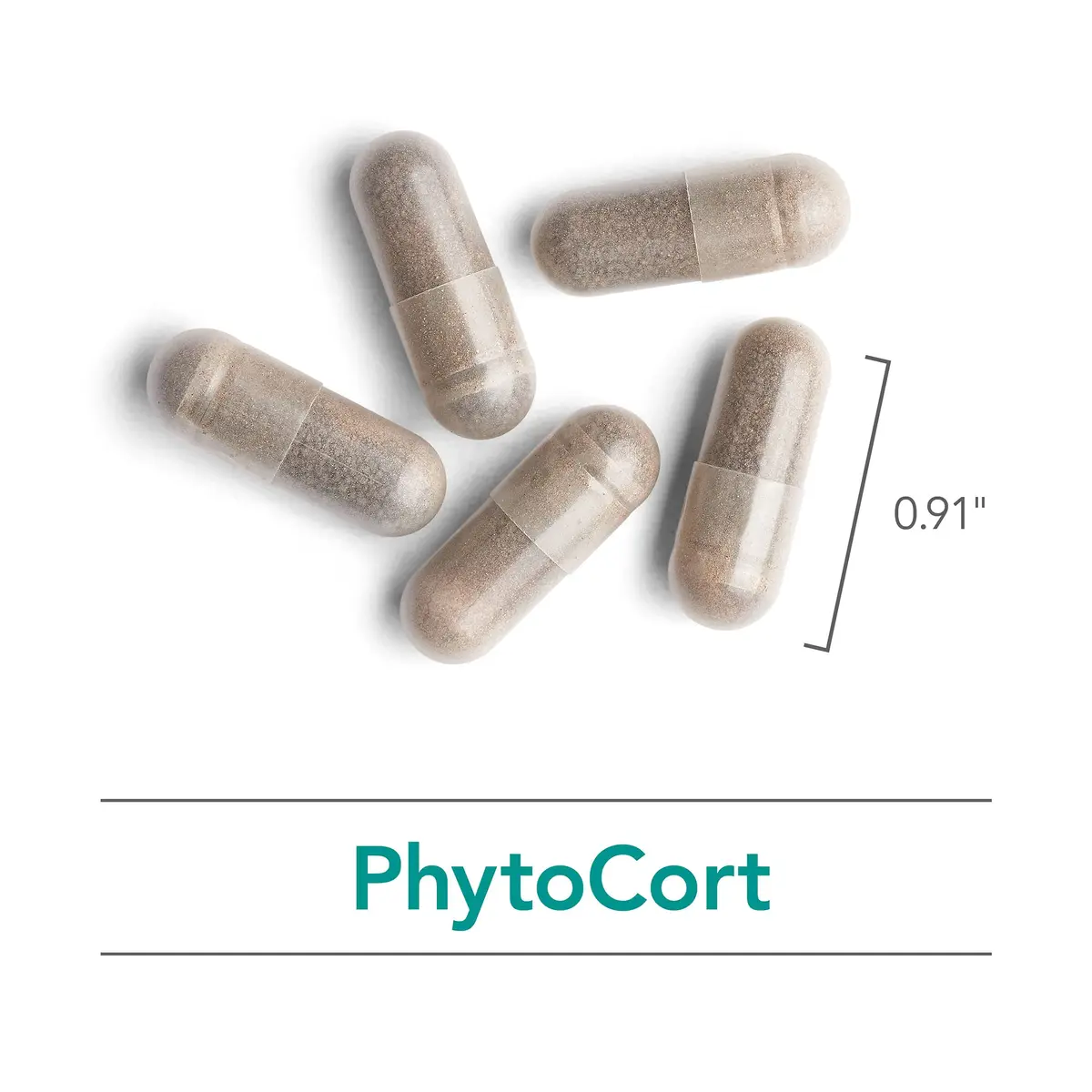 Nutricology PhytoCort Supplement - Respiratory Support, Lung Detox, Herbal Capsules, 120 Count - view 5