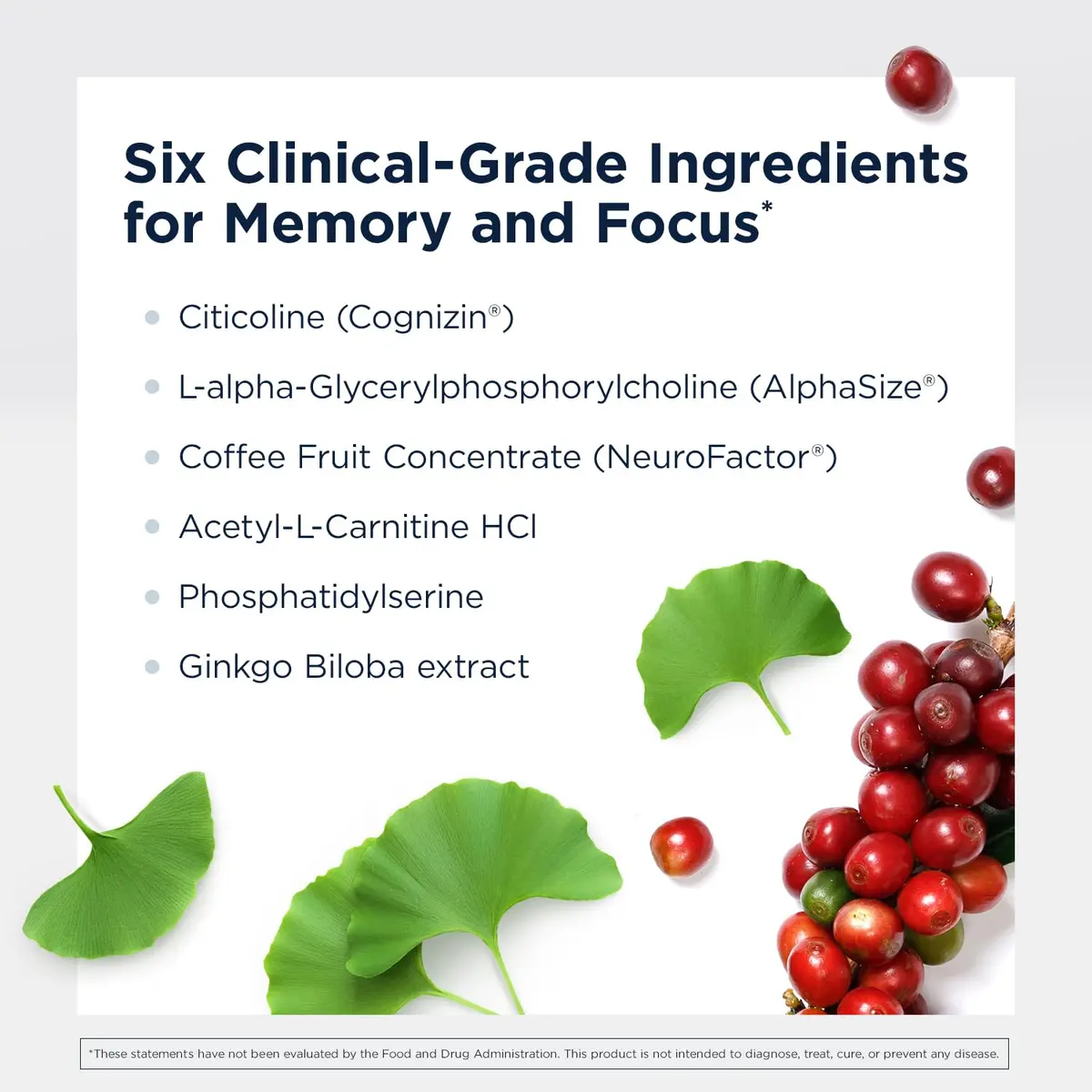 Designs for Health Brain Vitale Supports Focus 60 Capsules | Cognitive & Brain Support - view 3
