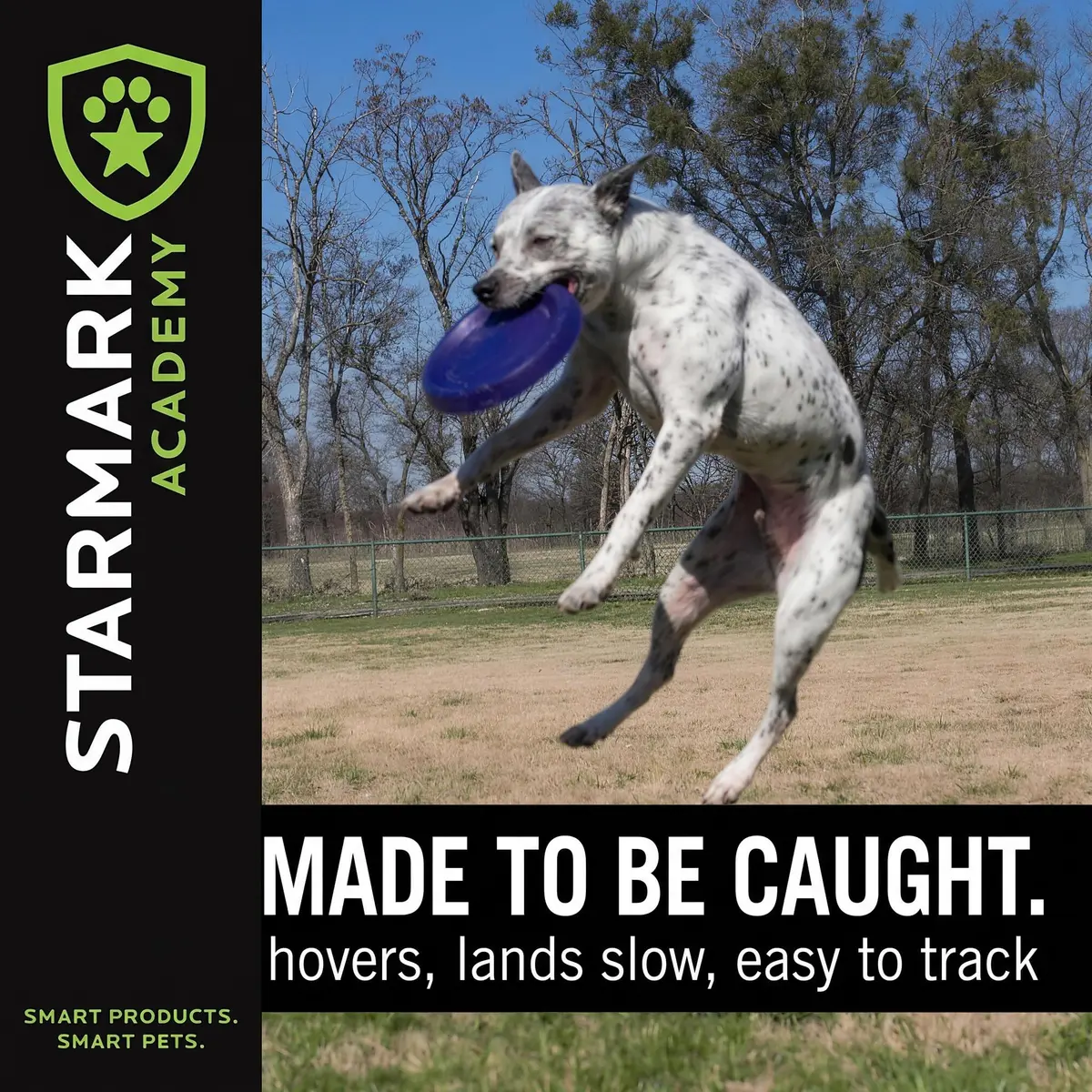 Starmark EasyGlide DuraFoam Flying Disc Dog Toy 11-inch | Soft, Durable & Floats - view 6