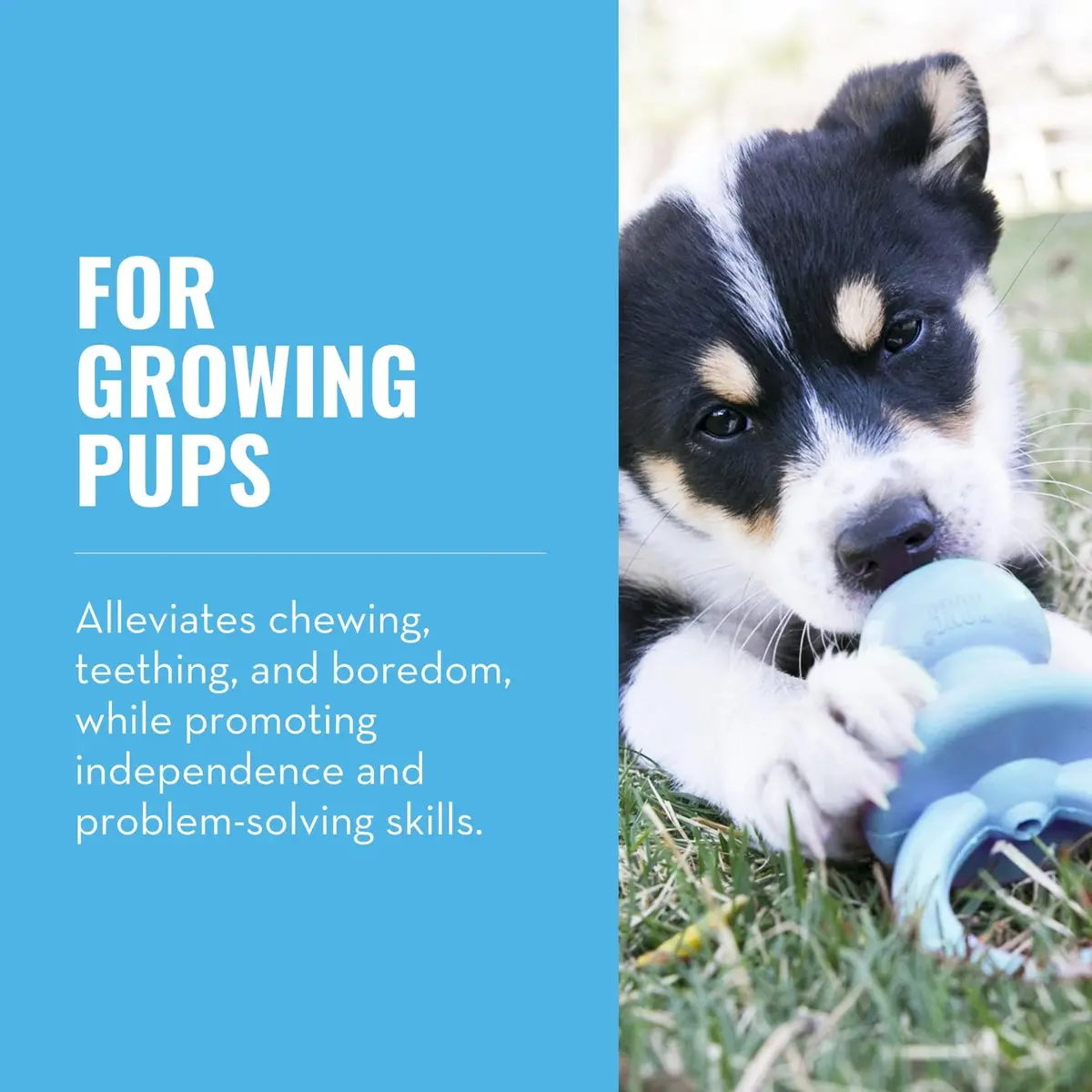 KONG Puppy Binkie Small | Natural Rubber Teething Toy for Puppies - view 2
