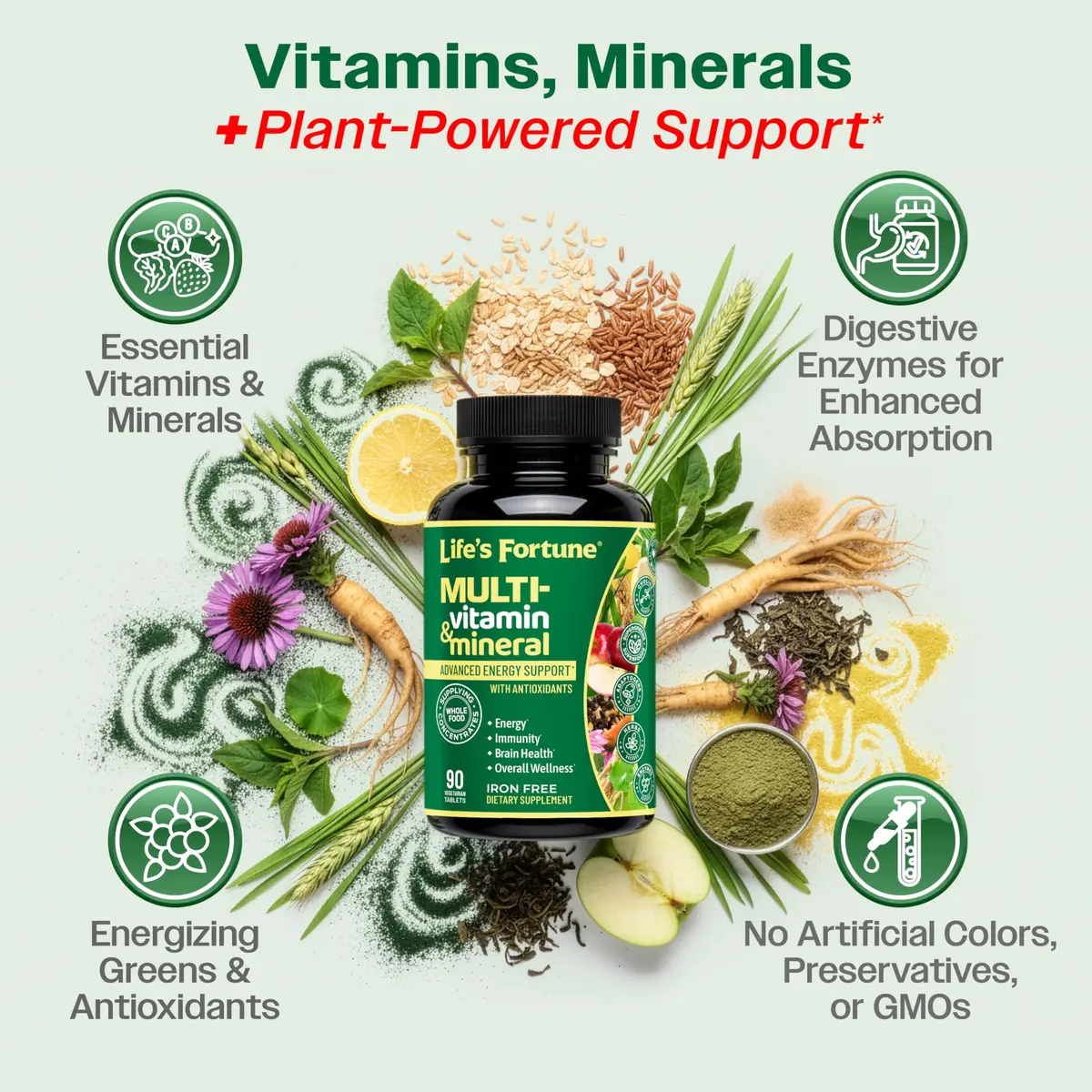 Life's Fortune Whole Food Multivitamin & Mineral Supplement for Men & Women – Energy Support Vitamins for Immune, Brain & Metabolism Support – Iron Free, 90 Vegetarian Tablets - view 4