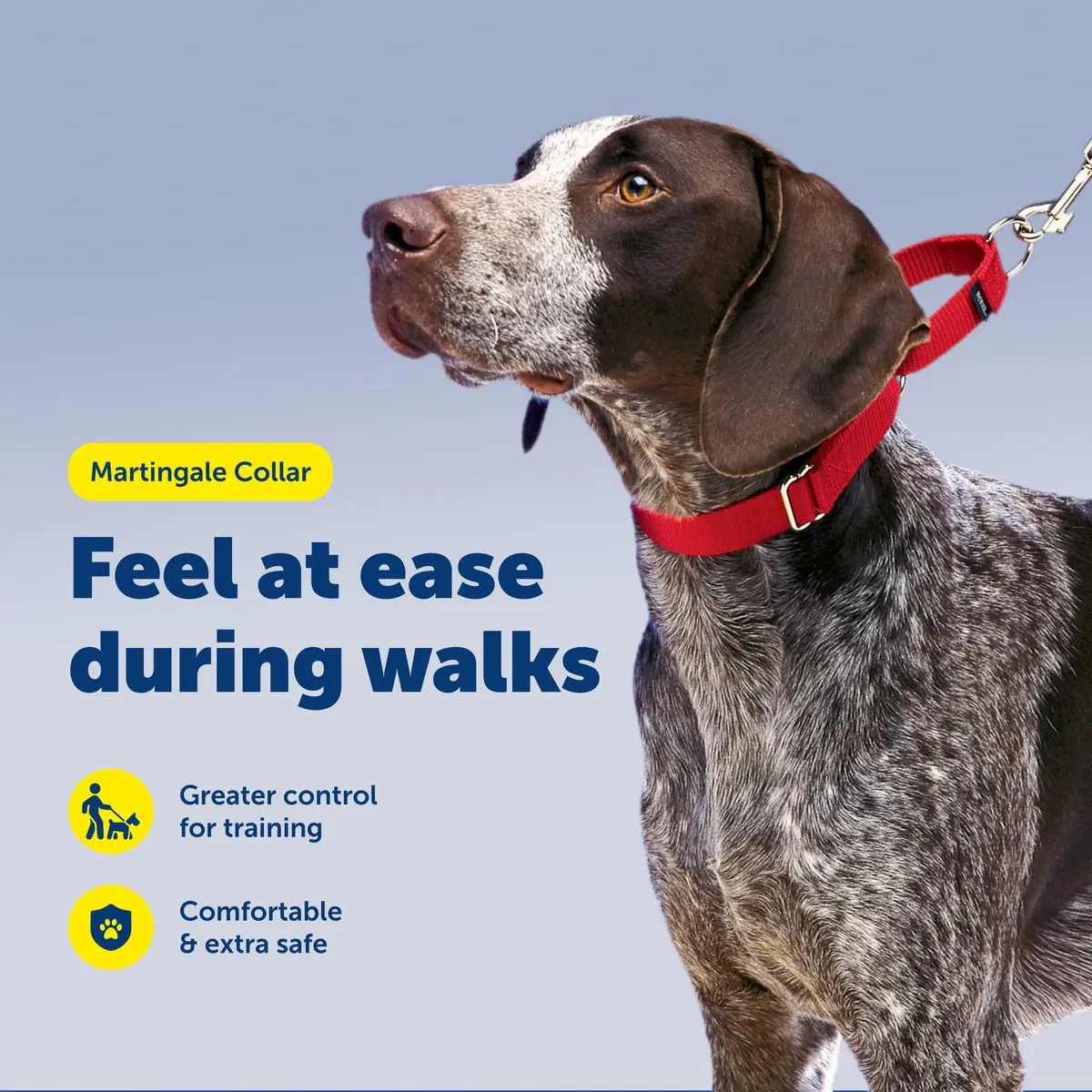 PetSafe Martingale Dog Collar Royal Blue 1.9cm (3/4 in) | Prevents Escape & Offers Control - view 2