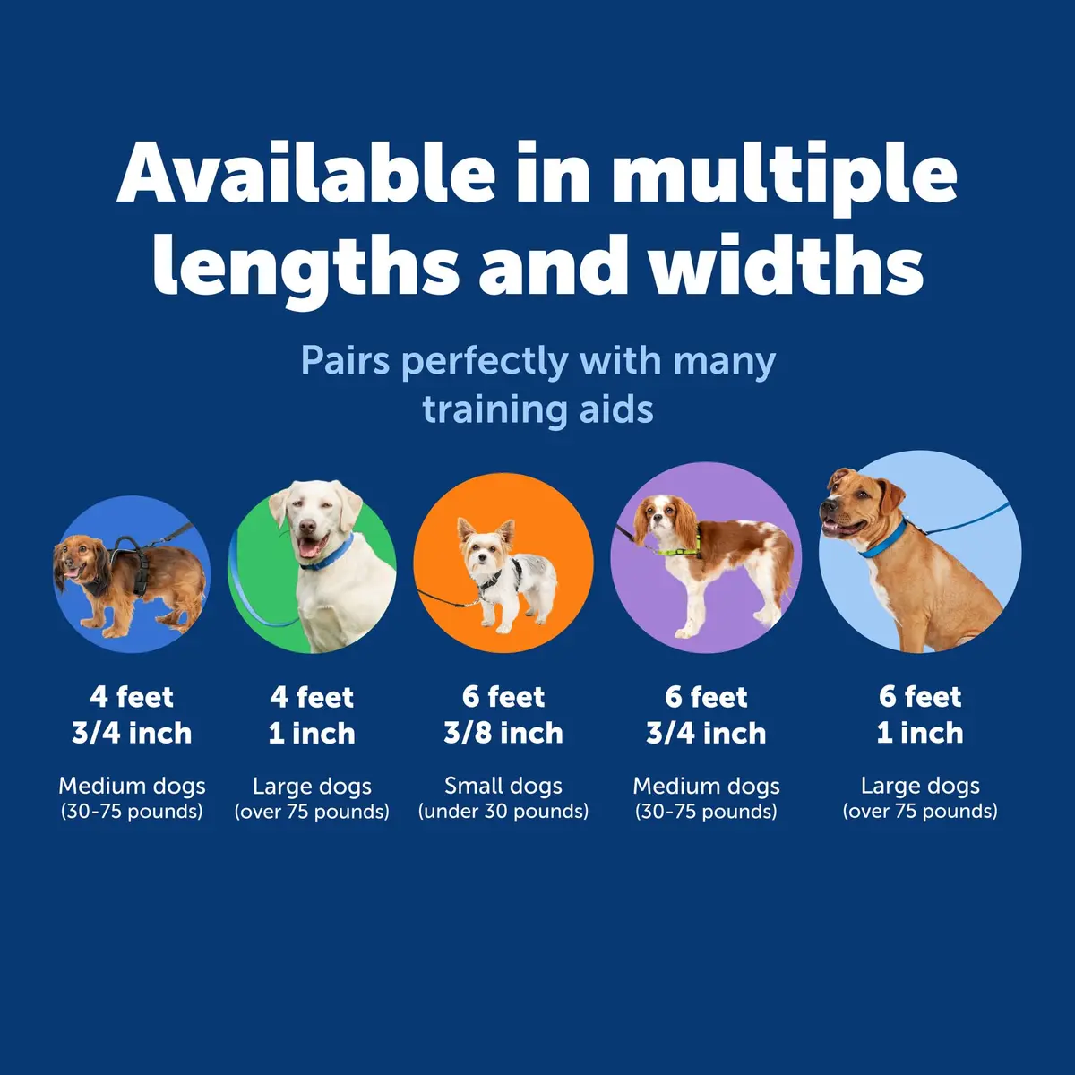 PetSafe Nylon Dog Leash - Strong, Durable, Traditional Style with Easy Bolt Snap - 1 in. x 6 ft., Red - view 5