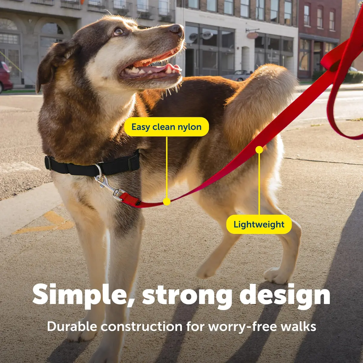 PetSafe Nylon Dog Leash - Strong, Durable, Traditional Style with Easy Bolt Snap - 1 in. x 6 ft., Red - view 4