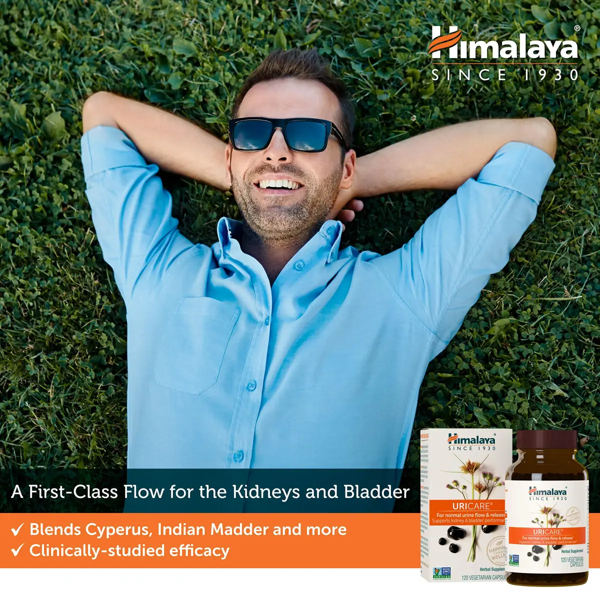 Himalaya UriCare Herbal Supplement 240 Capsules (60 Day Supply) | Kidney & Bladder Support - view 3