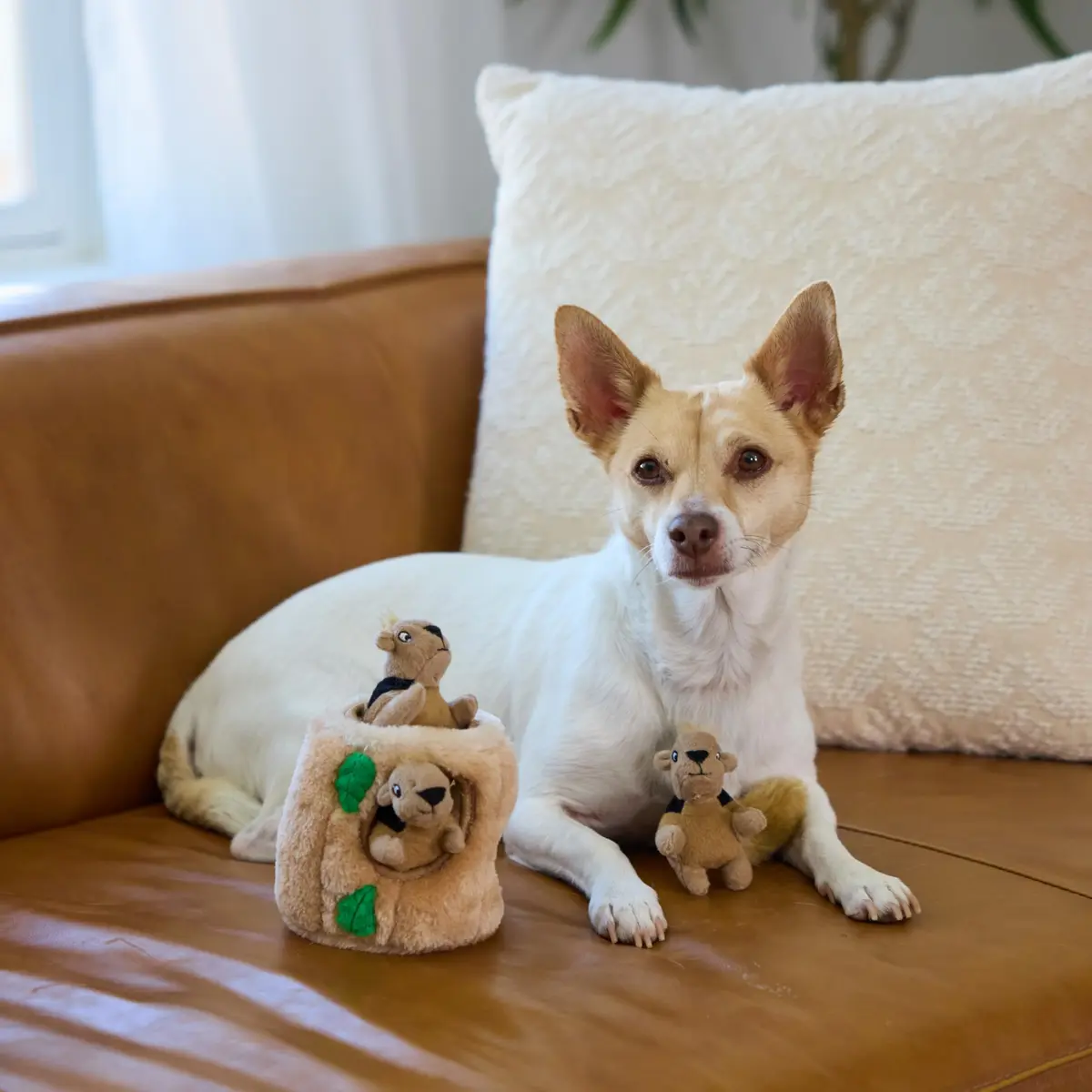 Outward Hound Hide-A-Squirrel Plush Squeaky Dog Toy Small 5" x 7" | Interactive Puzzle Toy for Dogs & Puppies - view 6