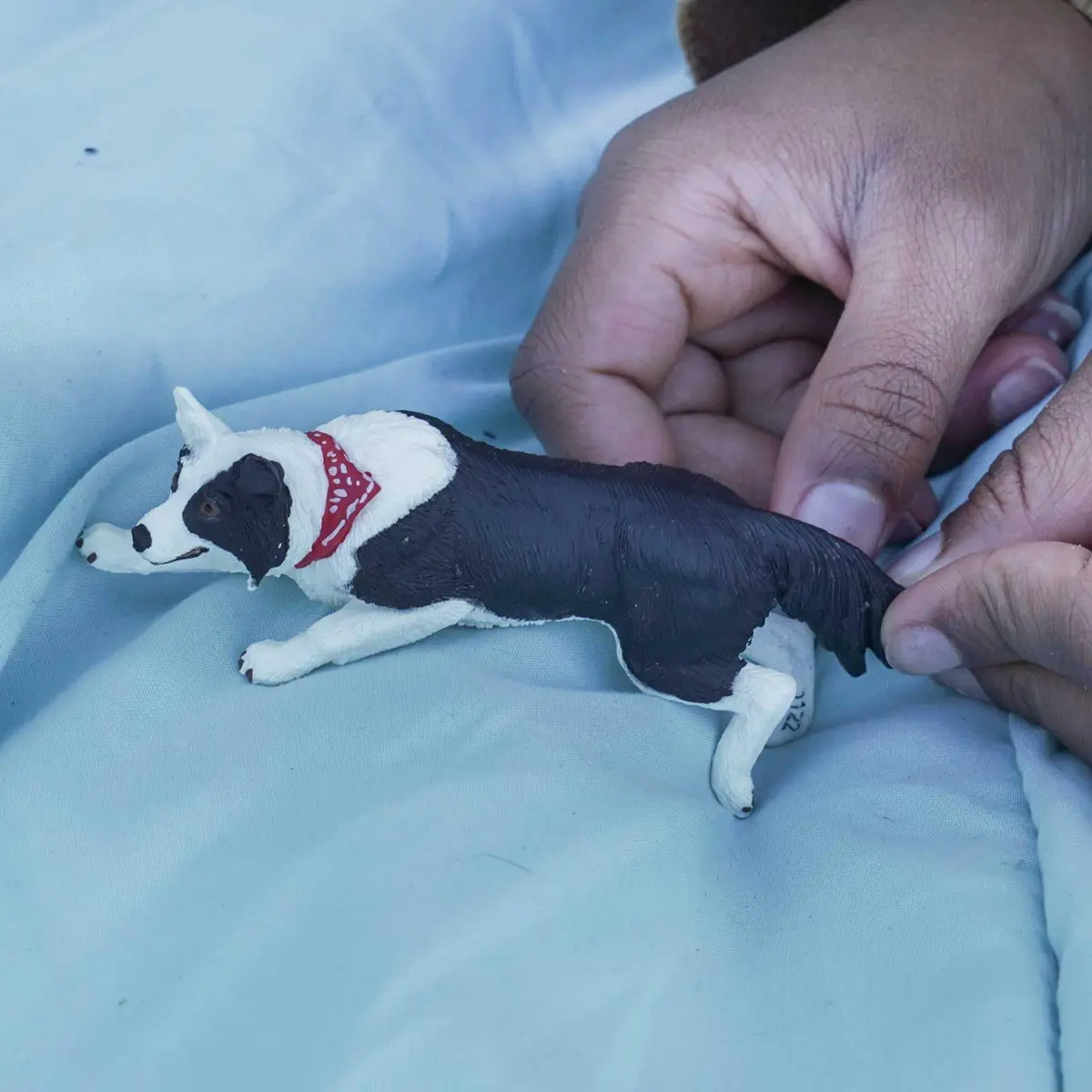 Safari Ltd. Border Collie Toy - 5 Inch Realistic Pet Figure for Kids | Hand-Painted, Safe, Educational - view 7