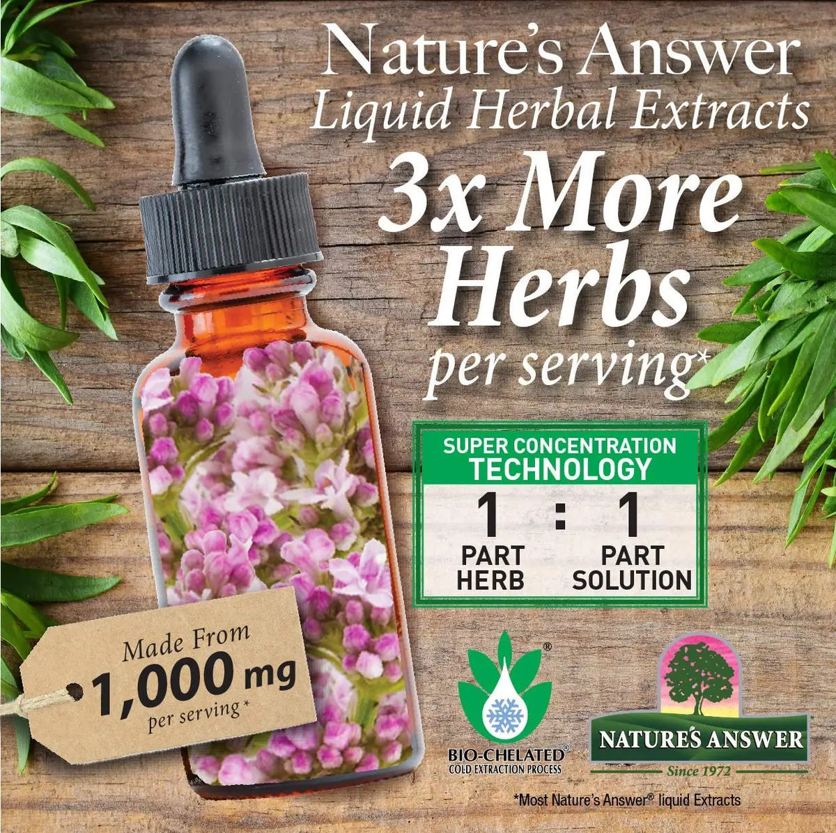 Nature's Answer Schisandra Berry 1oz | Alcohol-Free, Gluten-Free Herbal Supplement for Stress & Fatigue - view 6