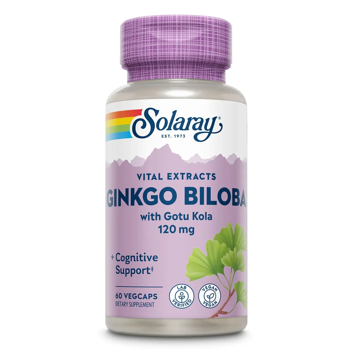 SOLARAY Ginkgo Biloba Extract with Gotu Kola | Brain & Female Libido Support, 60 VegCaps - main product image