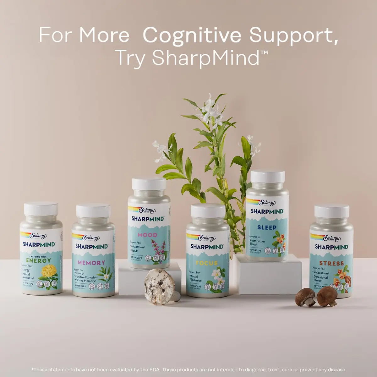 SOLARAY Ginkgo Biloba Extract with Gotu Kola | Brain & Female Libido Support, 60 VegCaps - view 6