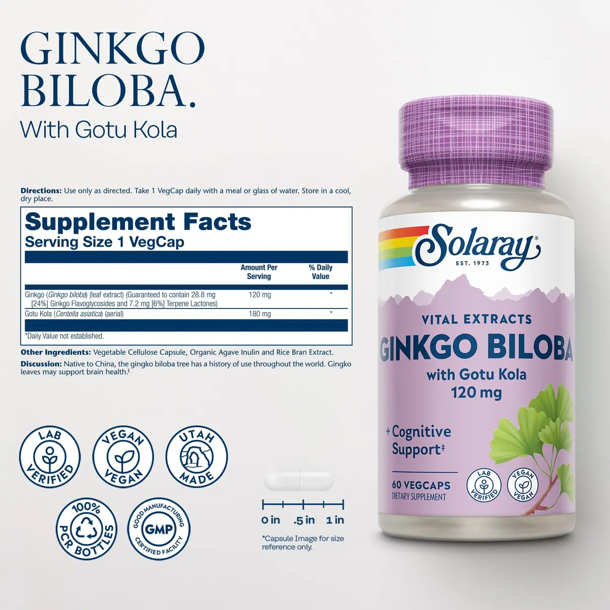 SOLARAY Ginkgo Biloba Extract with Gotu Kola | Brain & Female Libido Support, 60 VegCaps - view 2