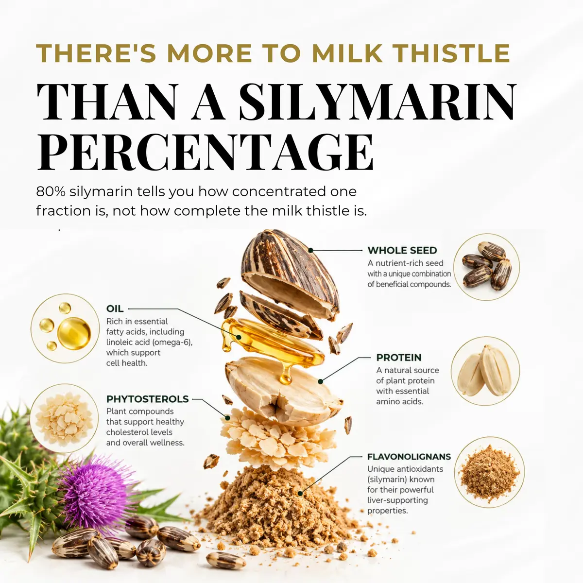 Eclectic Organic Milk Thistle Capsules 240 CT | Liver Support & Detox with Organic Ingredients - view 3