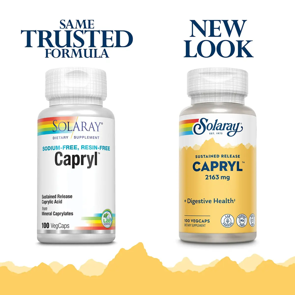 Solaray Capryl 100 Capsules | Mineral Support for Wellness & Ketogenic Lifestyle - view 2