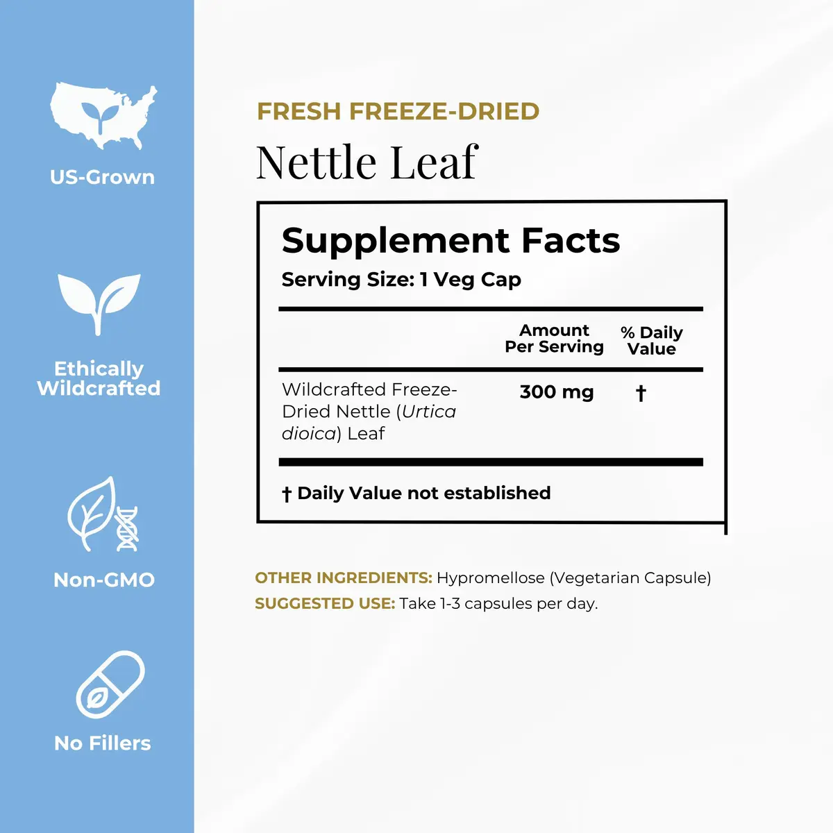 ECLECTIC INSTITUTE Nettle Leaf Capsules 90 CT | Sinus & Immune Support, Vegan, Non-GMO - view 8