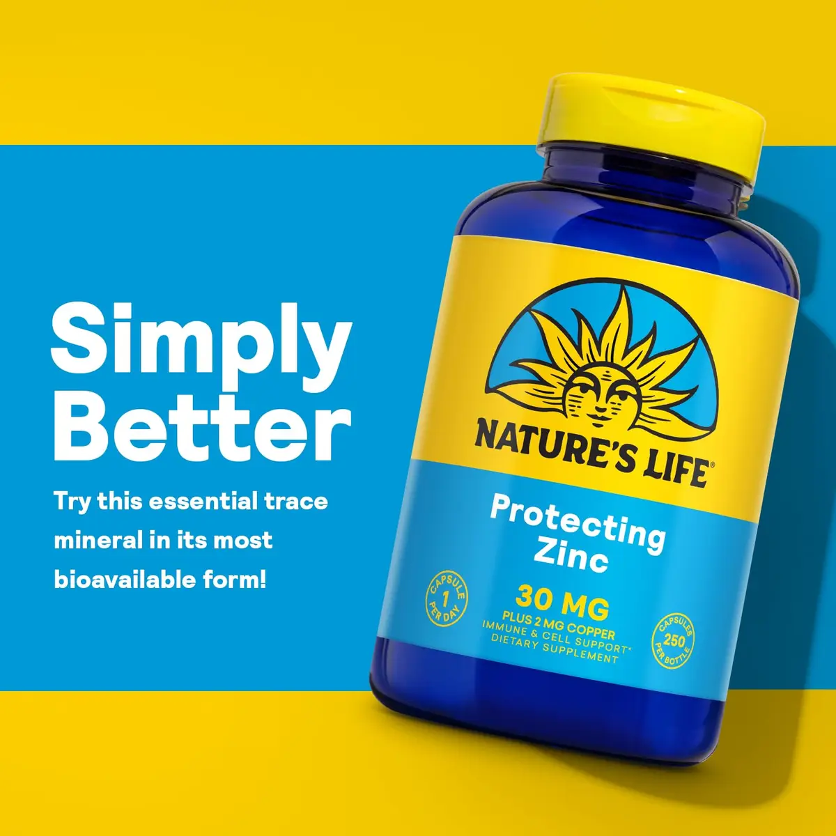 Nature's Life Zinc Picolinate 30 mg with Copper | 250 Capsules for Immune & Skin Support - view 4