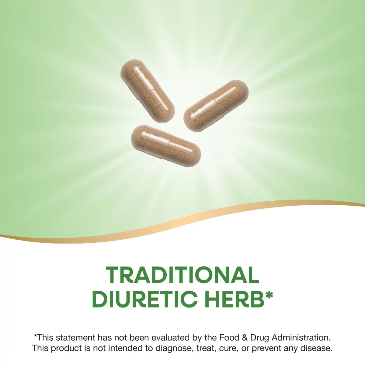 Nature's Way Dandelion Root Capsules 100 Count | Traditional Diuretic Herb, Vegan, Non-GMO - view 2